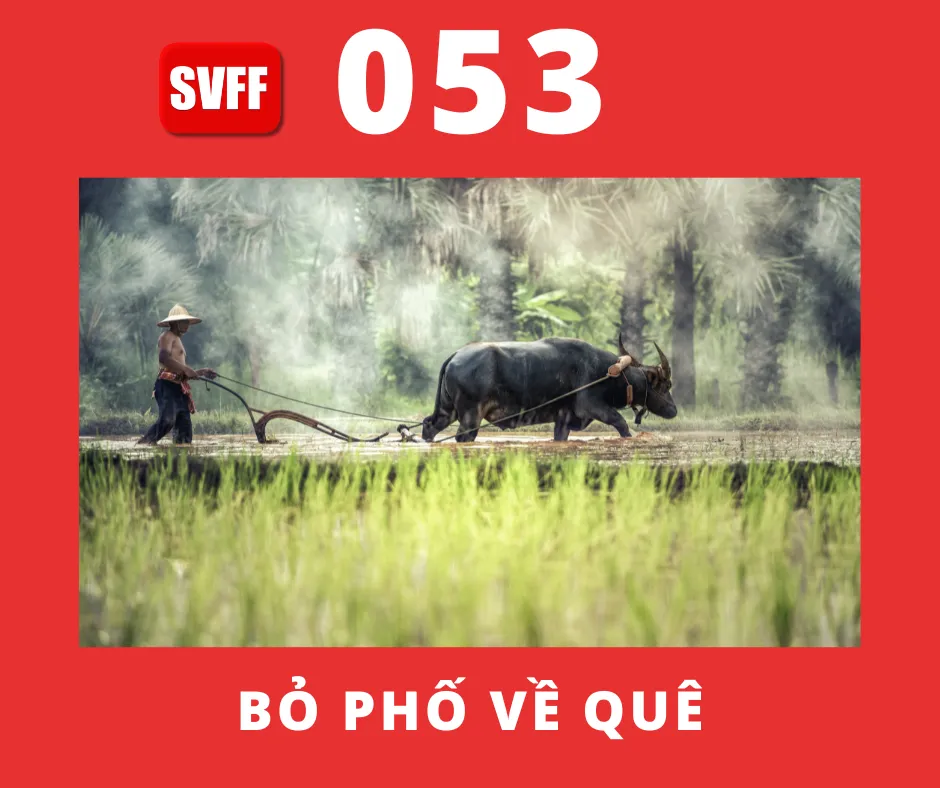 BỎ PHỐ VỀ QUÊ